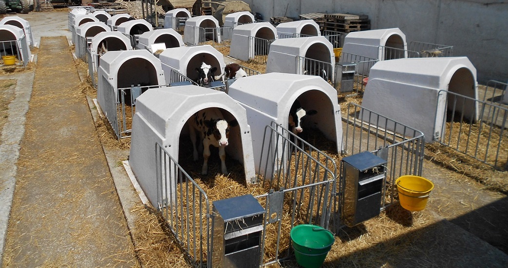 Agritech Agribox 1 Borj h z Dairy D v