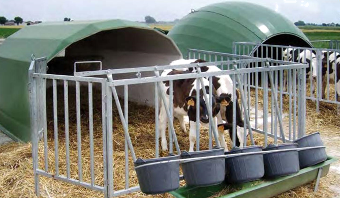 Agritech Agribox 5 Borj h z Dairy D v